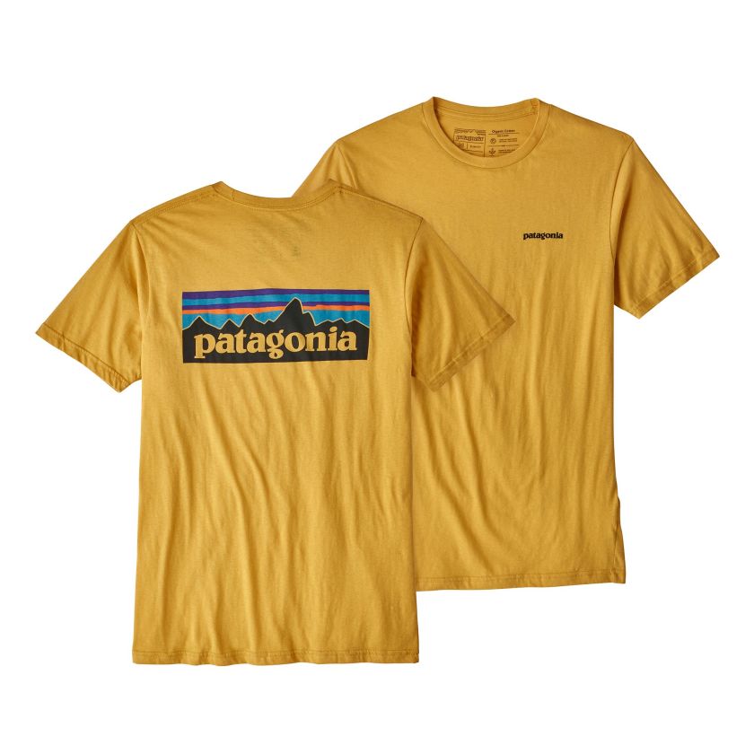 Patagonia t-shirt #1.jpg